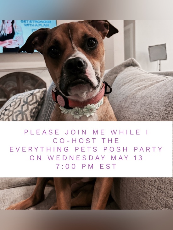 Other - Everything Pets Party - May 13